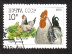 Stamps Russia -  Adlers (chickens)