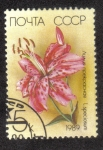 Sellos de Europa - Rusia -  Lilium speciosum