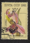 Stamps Russia -  Bee orchid - Ophrys apifera
