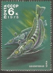 Stamps Russia -  PEZ  DE  BOCA  PICUDA