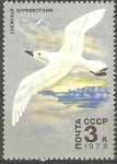 Stamps Russia -  PETREL  DE  COLOR  BLANCO