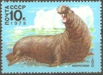 Stamps Russia -  ELEFANTE  MARINO
