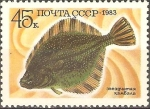 Stamps Russia -  PECES.  PLATICHTHYS  STELLATUS.