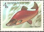 Stamps Russia -  PECES.  ONCORHYNCHUS  NERKA.