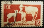 Stamps : Europe : Bulgaria :  Borregos