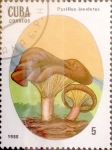 Stamps Cuba -  Intercambio cxrf3 0,20 usd 5 cents. 1988