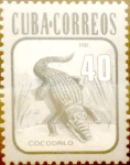 Sellos de America - Cuba -  Intercambio 1,00 usd 40 cents. 1981