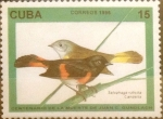 Stamps : America : Cuba :  Intercambio jlm 0,30 usd 15 cents. 1996