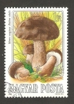 Stamps Hungary -  2936 - Champiñón comestible, boletus edulis