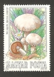 Stamps Hungary -  2937 - Champiñón comestible, agaricus campester
