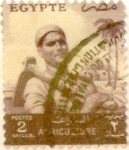 Stamps Egypt -  Intercambio 0,20 usd 2 miles. 1954