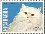 Stamps Nicaragua -  GATOS  DOMÈSTICOS.  BLANCO  PELO  LARGO.