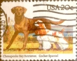 Stamps United States -  Intercambio nfxb 0,20 usd 20 cents. 1984