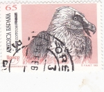 Stamps Spain -  UPAEP - Quebrantahuesos (18)