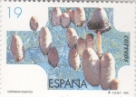Sellos de Europa - España -  Setas (18)