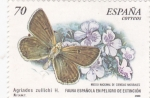 Stamps Spain -  Fauna española en peligro de extinción (18)