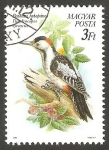 Stamps Hungary -  3257 - Pájaro
