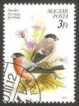 Stamps Hungary -  3258 - Pájaros