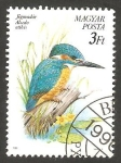 Stamps Hungary -  3259 - Pájaro