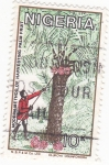 Stamps Africa - Nigeria -  Metodo para recoger el fruto de la palmera