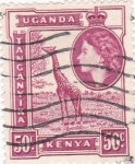 Stamps Uganda -  Jirafa- Isabel II