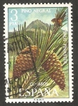 Stamps Spain -  2087 - Pino negral