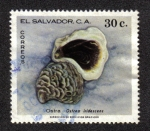 Sellos de America - El Salvador -  Ostra