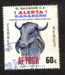 Stamps : America : El_Salvador :  !Alerta Ganadero!