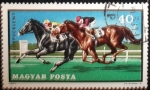 Stamps Hungary -  Caballos Galopando