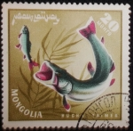Stamps : Asia : Mongolia :  Hucho Taimen