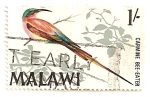 Stamps Africa - Malawi -  Pajaro