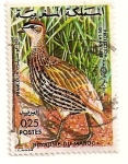 Stamps Morocco -  Perdiz