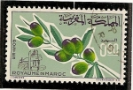 Stamps Morocco -  Aceituna