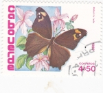 Sellos de Africa - Cabo Verde -  Mariposa