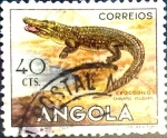 Sellos de Africa - Angola -  Intercambio cxrf 0,20 usd 40 cents. 1953