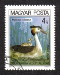 Stamps Hungary -  Pajaros