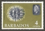 Sellos de America - Barbados -  246 - Fauna marina, tripneustes esculentus