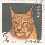 Stamps : Asia : North_Korea :  Lince