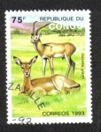 Sellos de Africa - Rep�blica del Congo -  Fauna