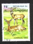 Sellos del Mundo : Africa : Repblica_del_Congo : Fauna
