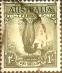 Stamps Australia -  Intercambio 0,35 usd 1 shilling 1941