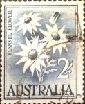 Stamps : Oceania : Australia :  Intercambio 0,20 usd 2 shilling 1959