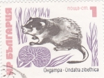 Stamps Bulgaria -  rata almizclera