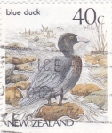Stamps New Zealand -  pato azul