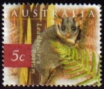 Stamps : Oceania : Australia :  AUSTRALIA 1996 Michel 1575 SELLO ANIMALES KOALA USADO