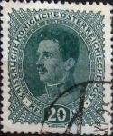 Stamps Austria -  Intercambio 0,20 usd 20 heller 1918