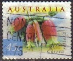 Sellos de Oceania - Australia -  AUSTRALIA 1999 Scott 1734 Sello Flores Flowers Correa Reflexa usado Michel 1805 