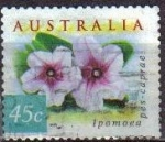 Sellos del Mundo : Oceania : Australia : AUSTRALIA 1999 Scott 1736 Sello Flores Flowers Ipomoea pes-caprae usado Michel 1807