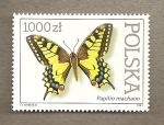 Stamps Poland -  Mariposas