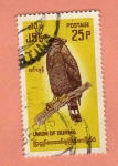 Sellos de Africa - Burkina Faso -  Buho